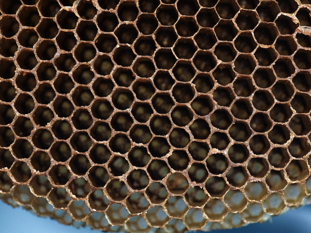 Pourquoi les alvéoles des abeilles sont parfaites ? – Miel Factory