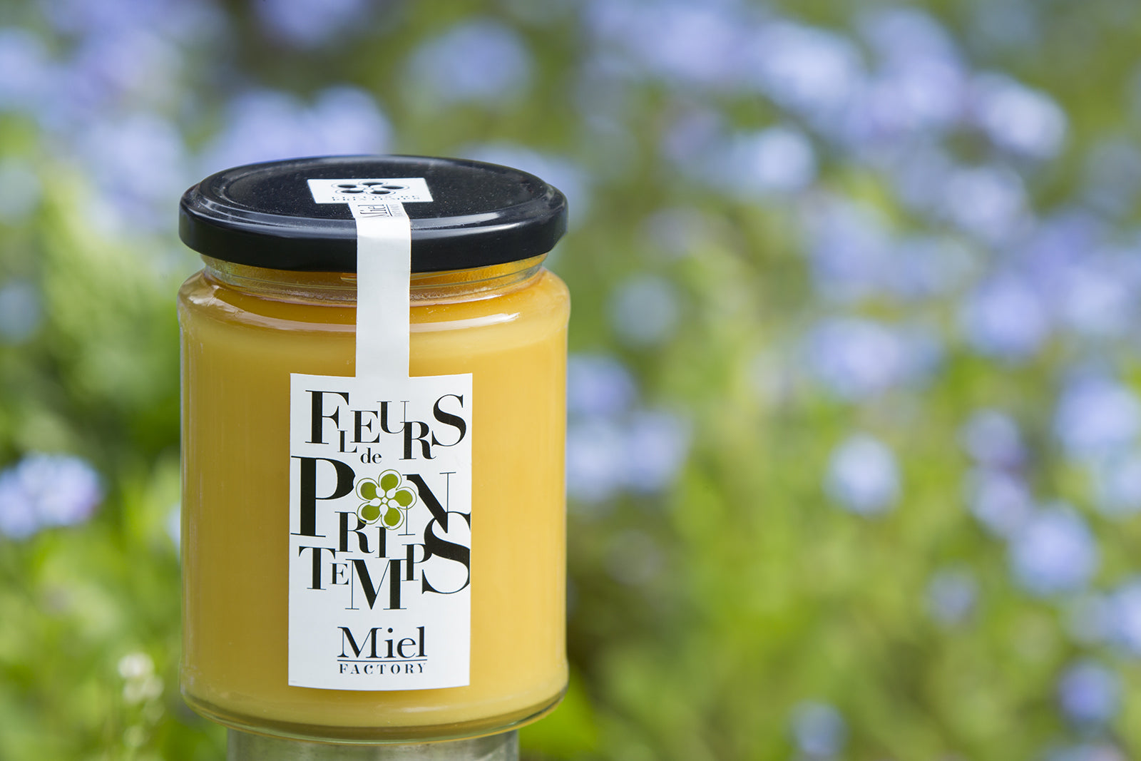 pot de miel de fleurs de printemps bourgogne