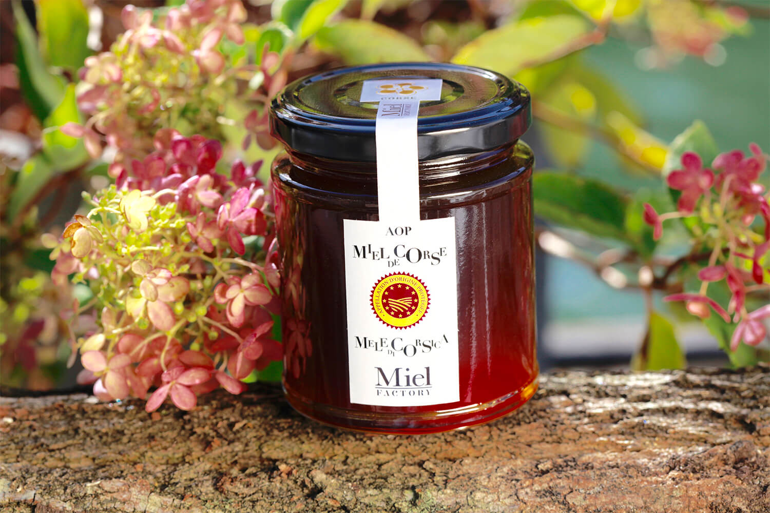 pot de miel de maquis corse