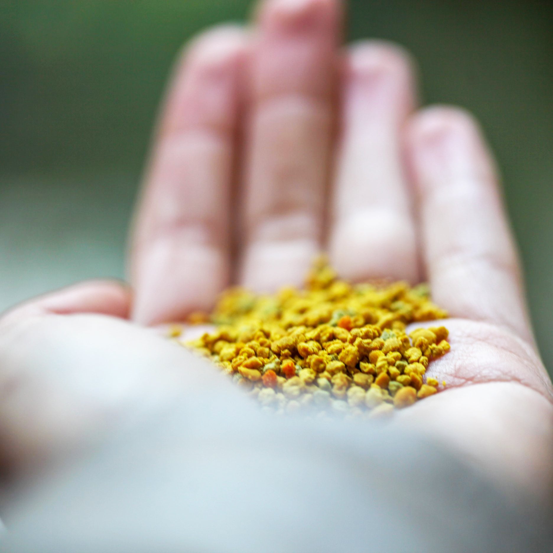 pollen frais
