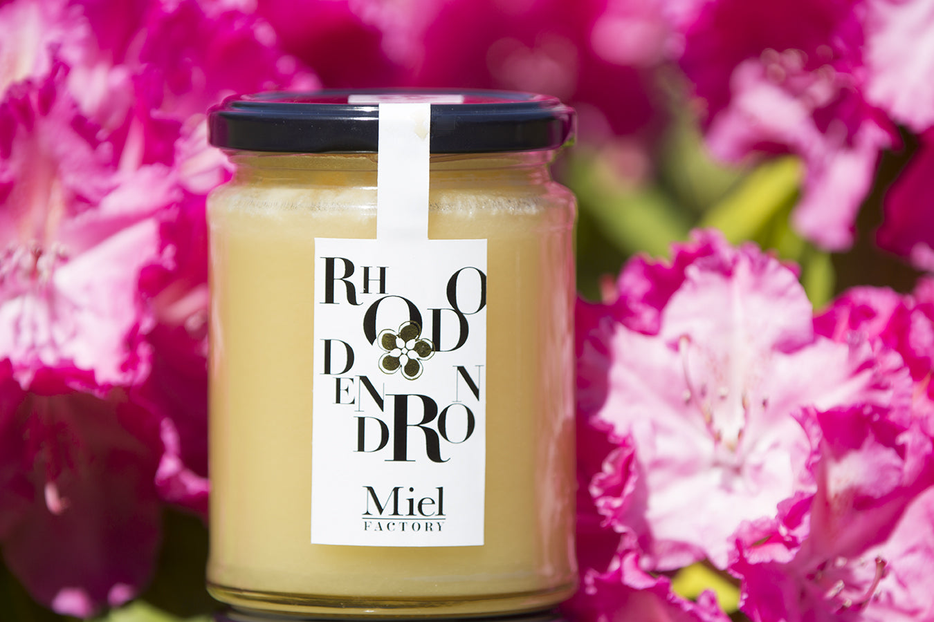 miel de rhododendron