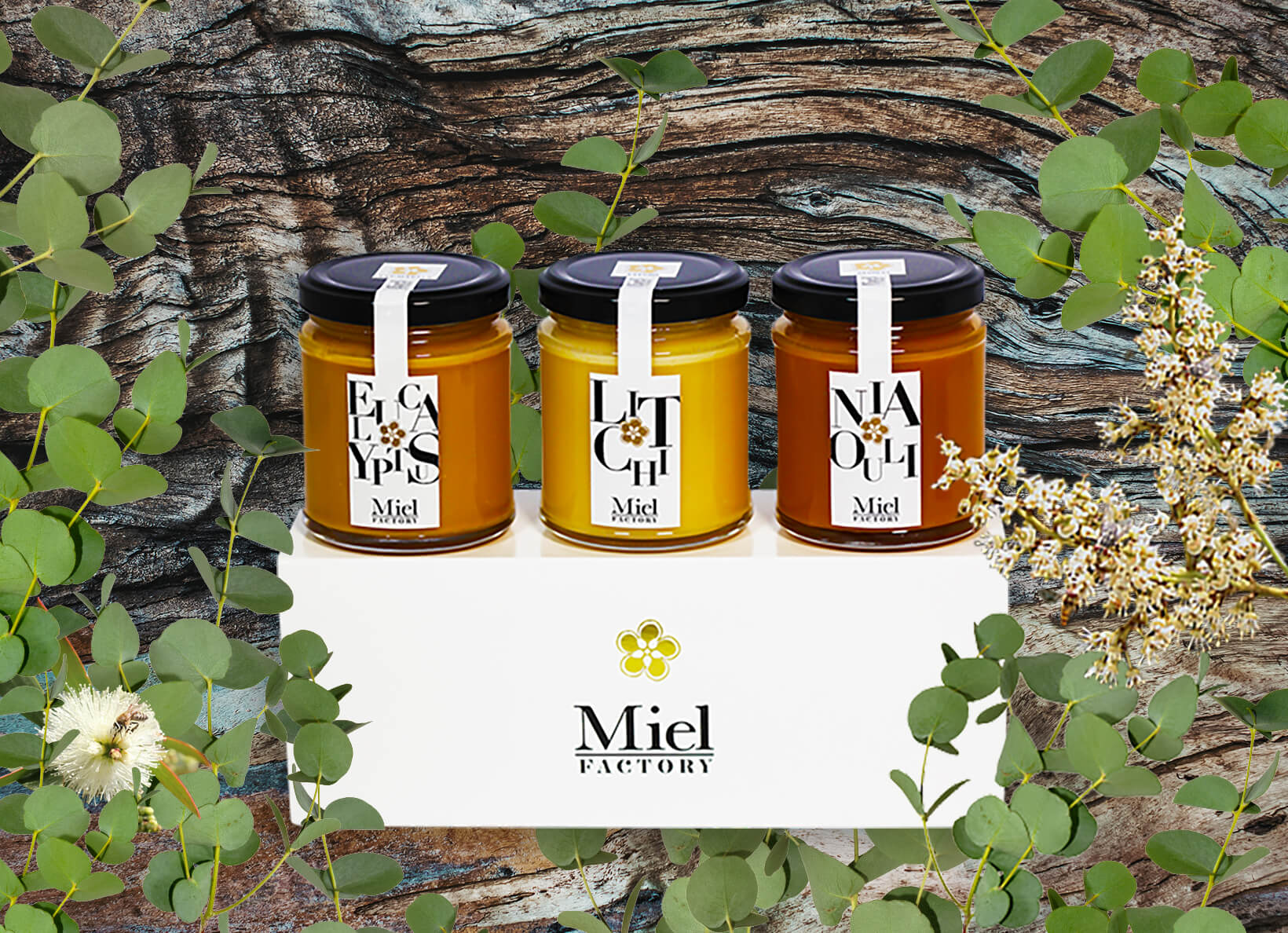 Coffret cadeau Madagascar