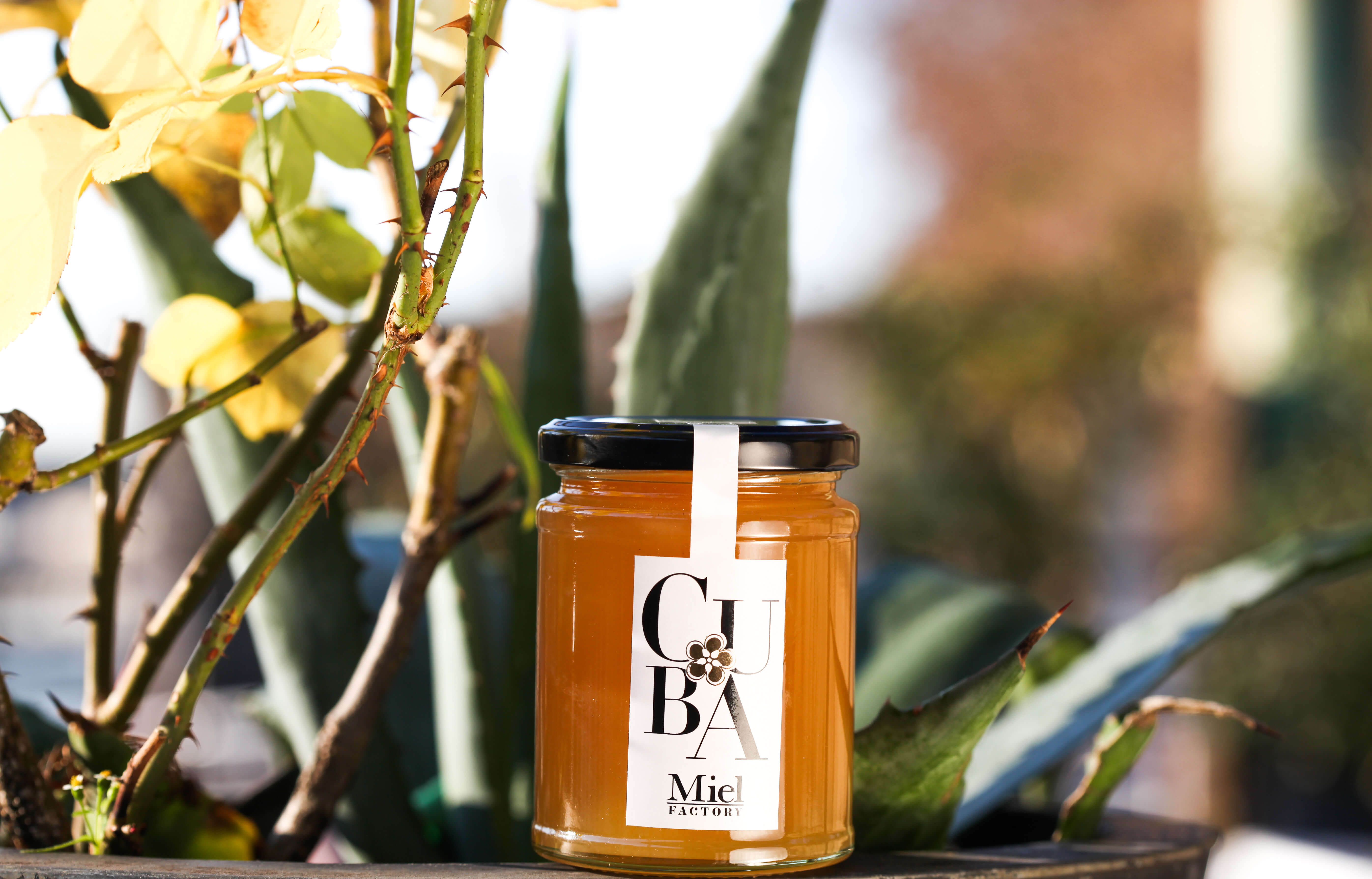 pot de miel de cuba