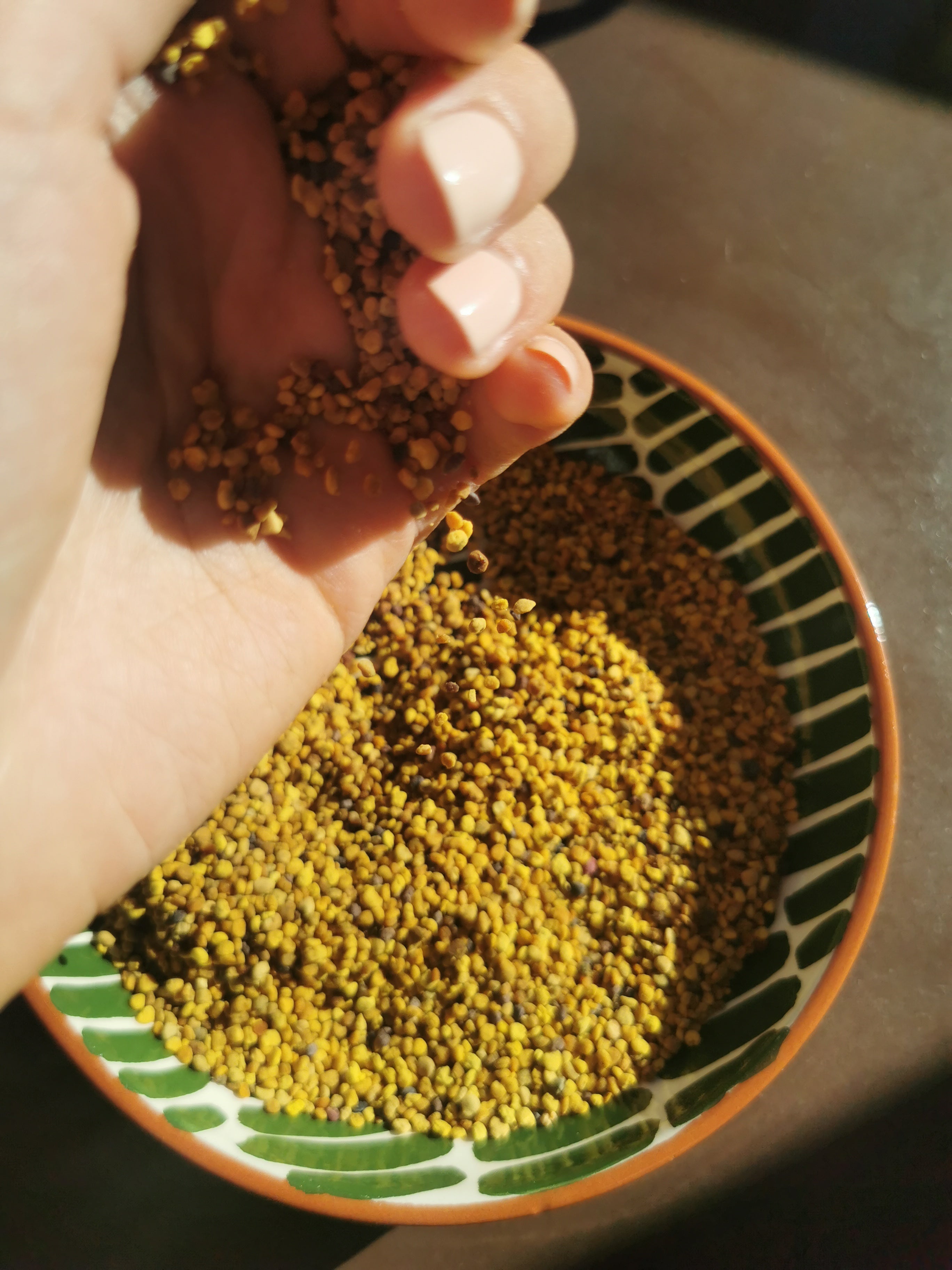 grains de pollen