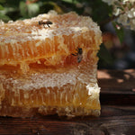 Abeilles qui goûtent le rayon de miel