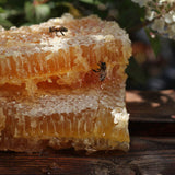 Abeilles qui goûtent le rayon de miel