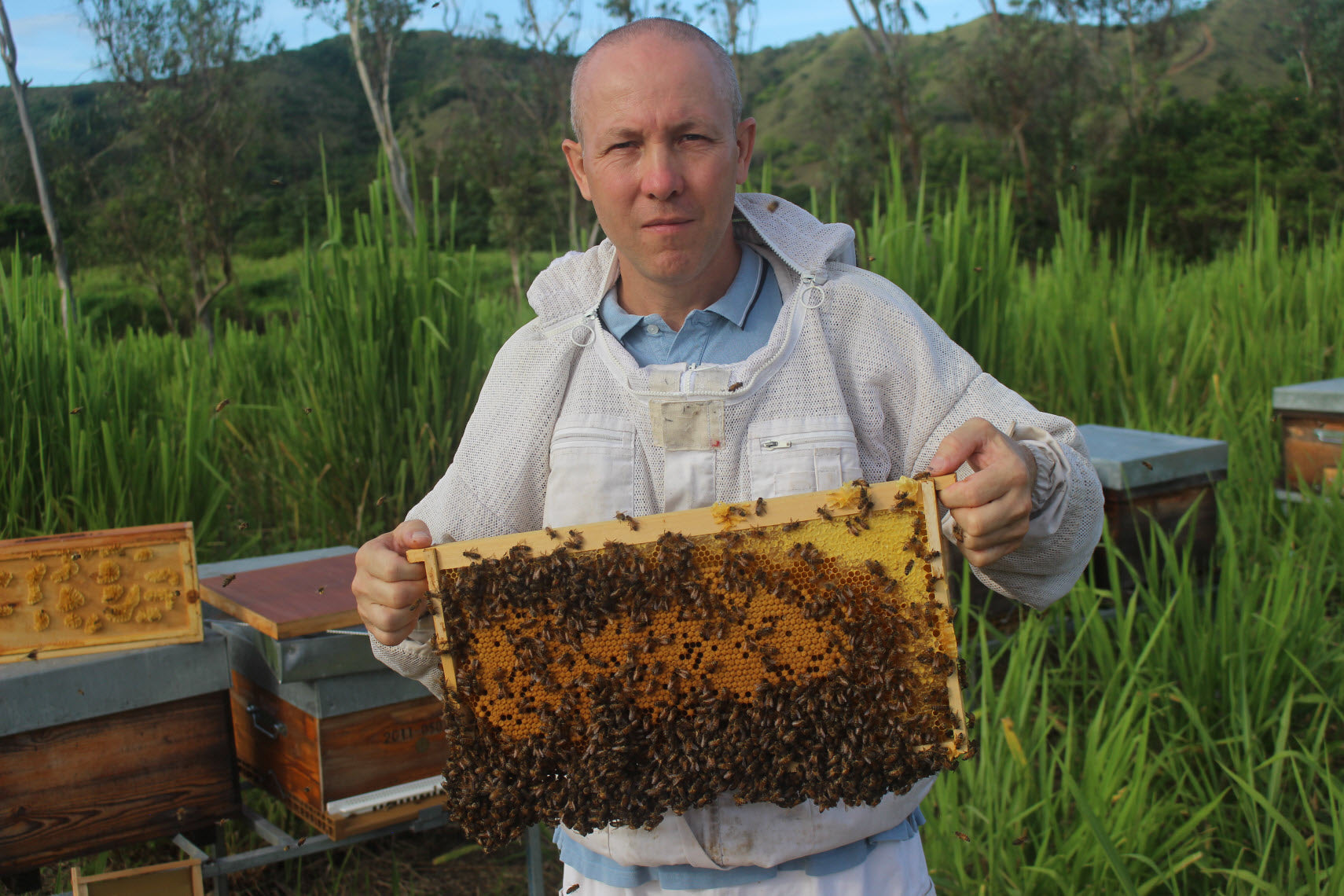arnaud maillochon - apiculteur nouvelle Calédonie