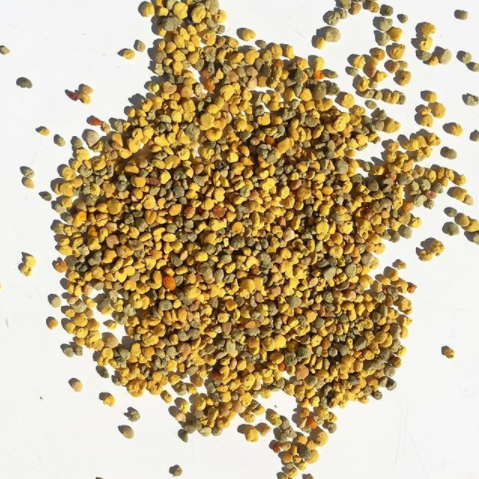 pollen par Miel Factory aux multiples bienfaits pour la santé