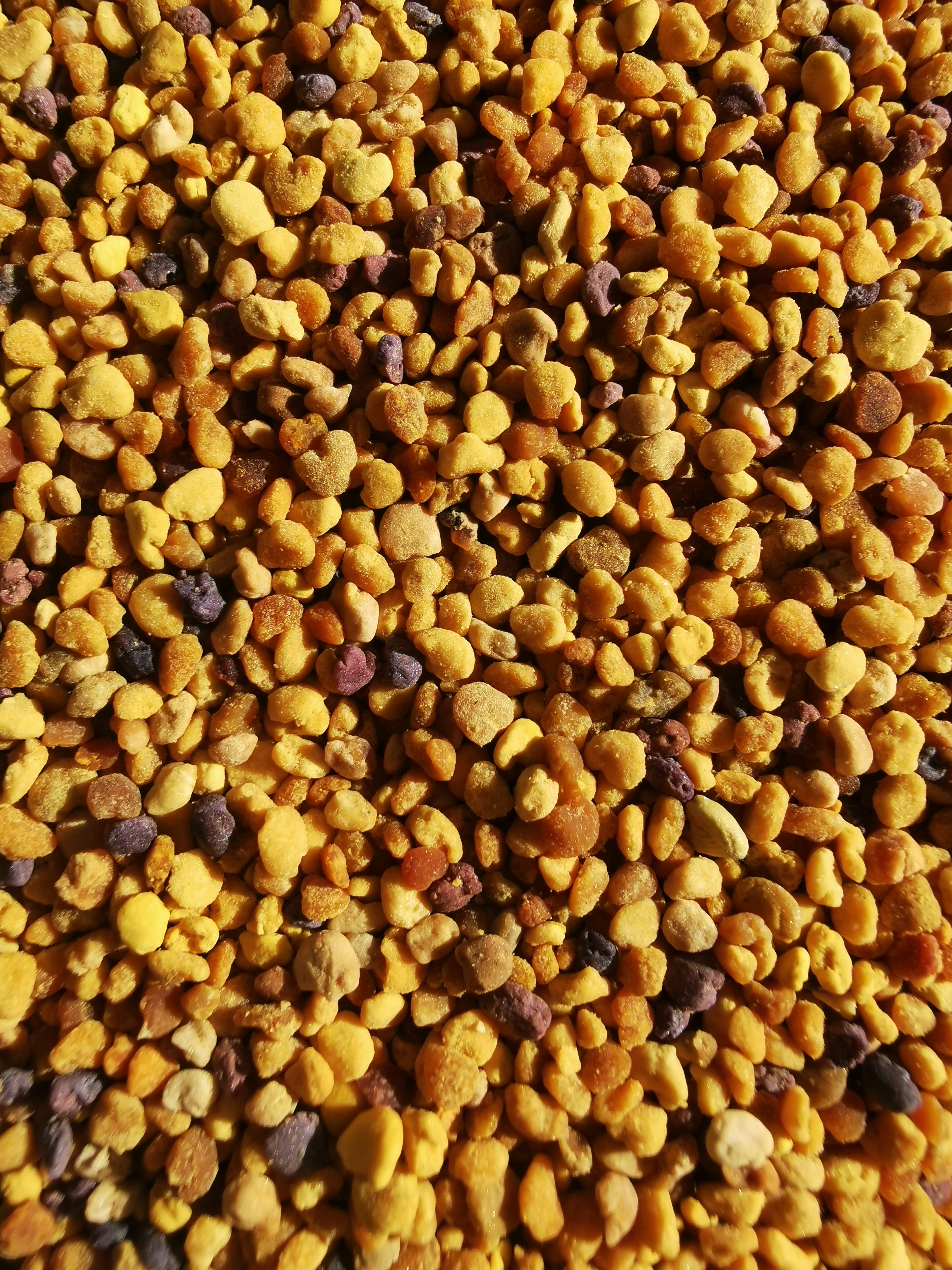 Miel et sport : pollen, gelée royale et propolis pour les sportifs