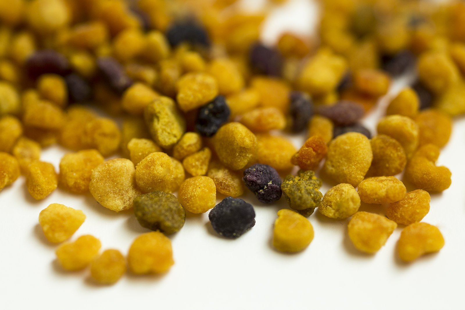 Qu'est ce que le pollen ?