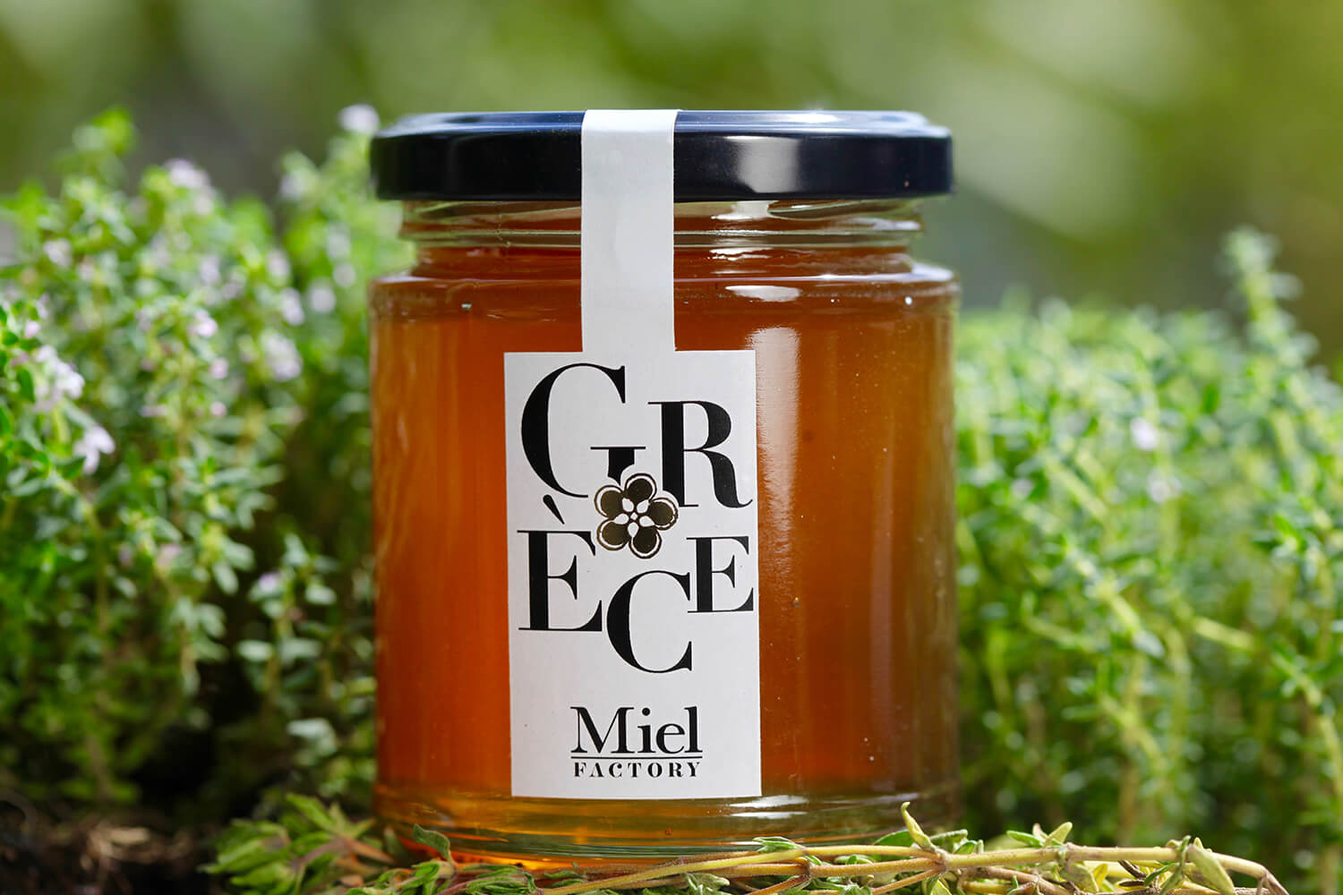 Miel de Thym de Grèce