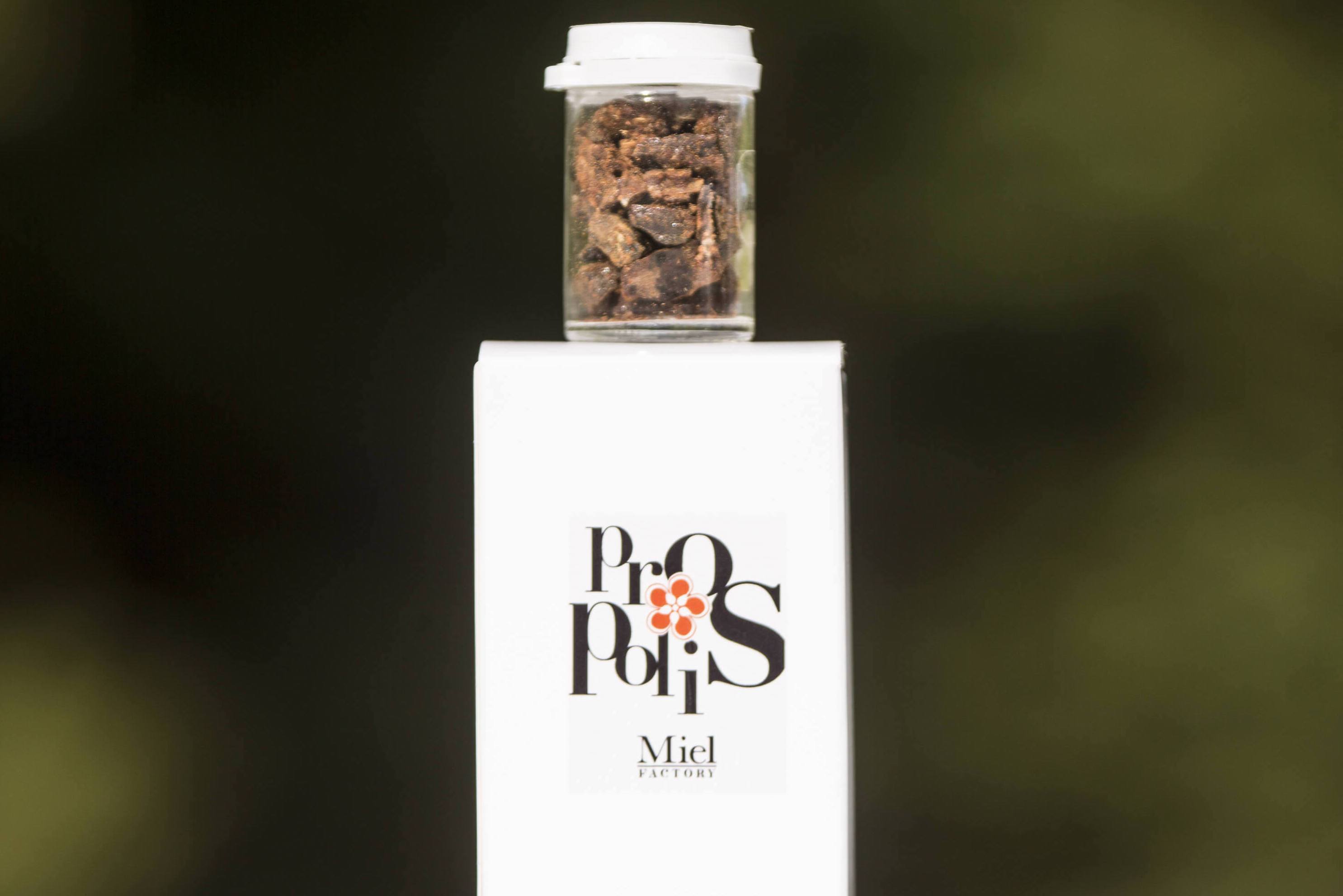 Qu'est ce que la propolis ?