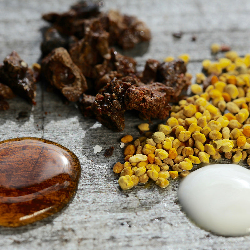 pollen, propolis, miel et gelée royale