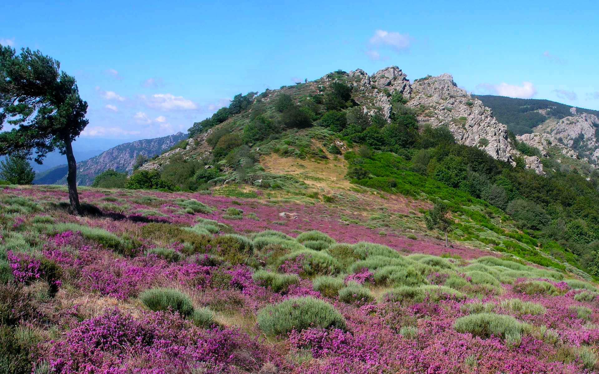 Parc Naturel Régional du Haut-Languedoc