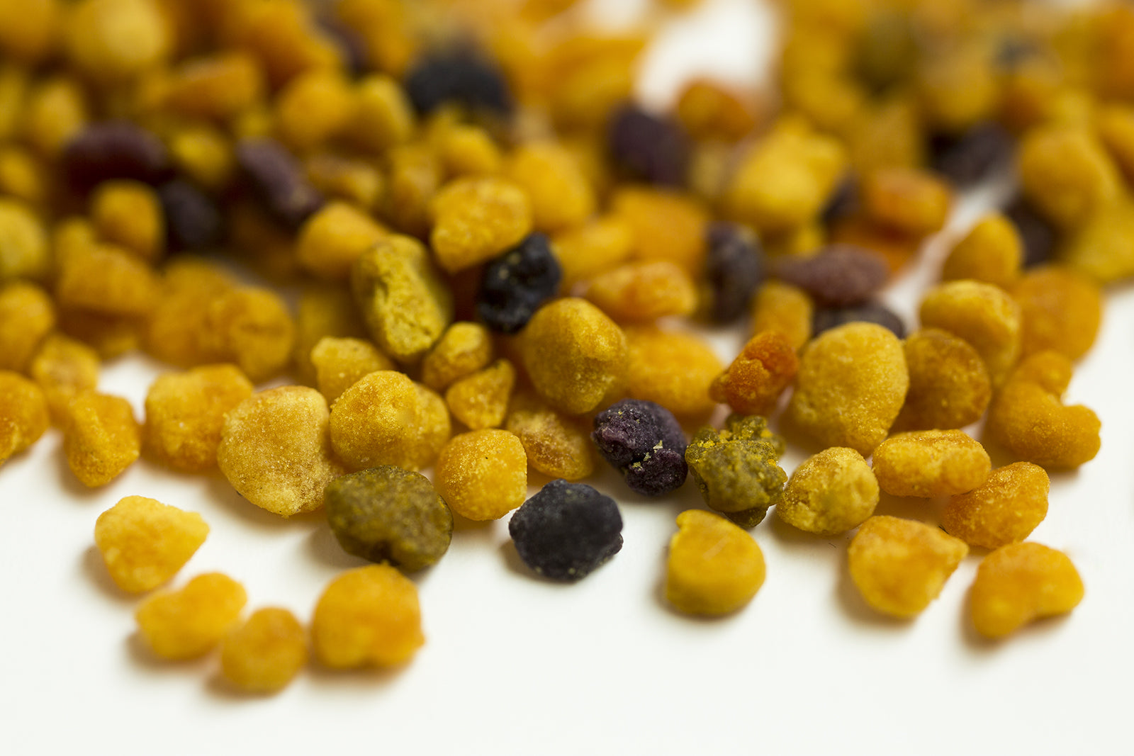 Qu'est ce que l'allergie au pollen ?