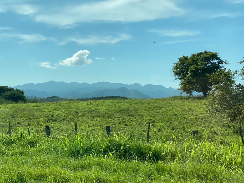 Cuba sans pesticide