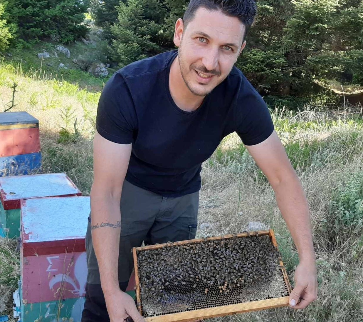 Quand la science confirme le terroir : ce que révèle une étude majeure sur les miels grecs
