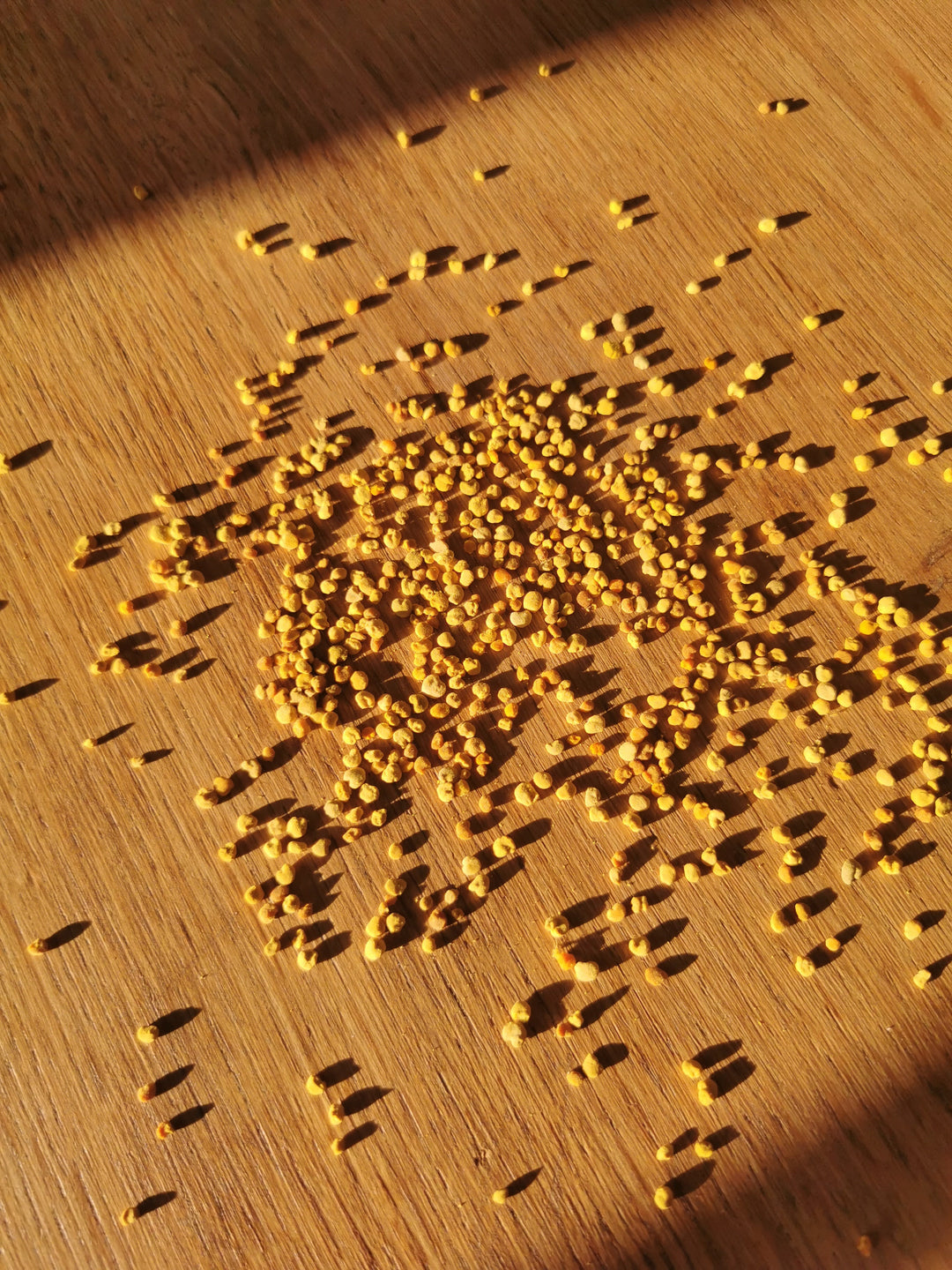 Pollen frais vs. Pollen sec : lequel est le meilleur ? – Miel Factory