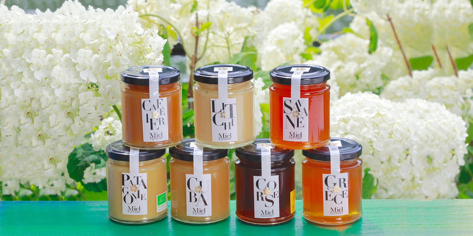 différentes variétés de miels de producteur