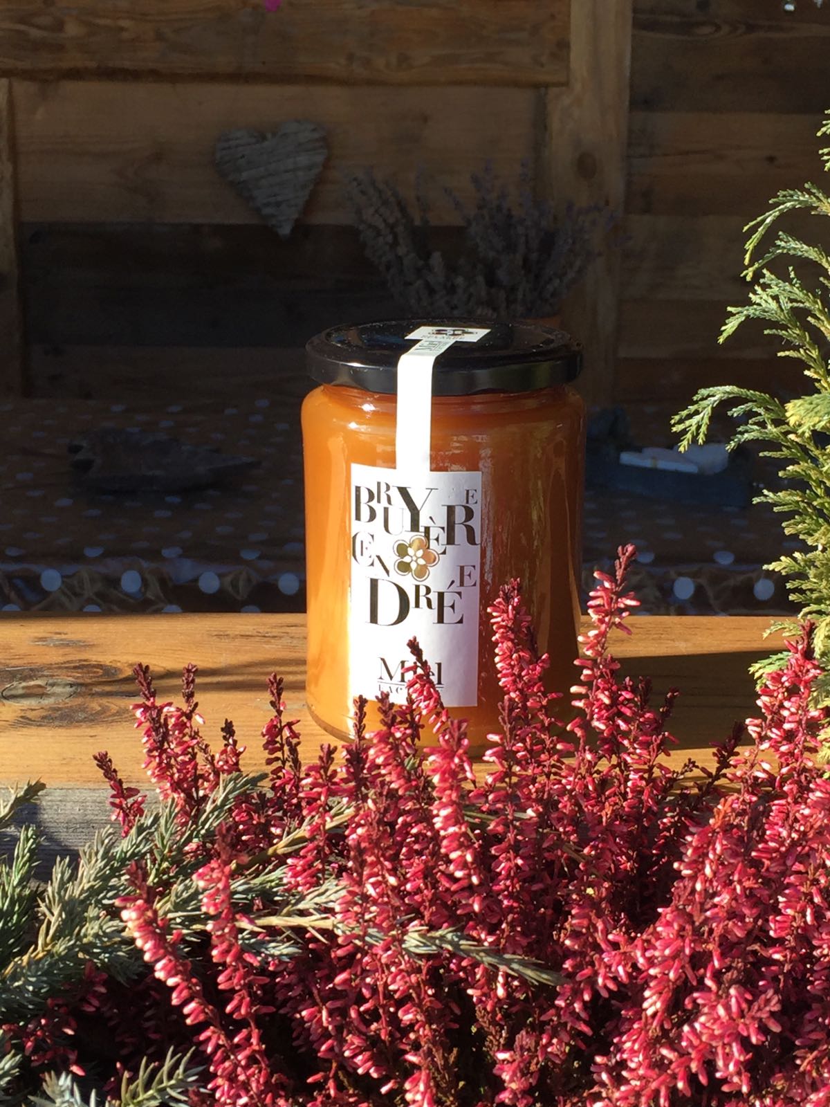 bruyère cendrée fleur et pot