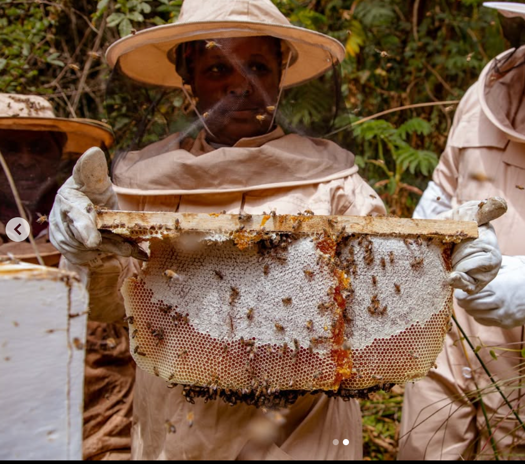 apicultrice tanzanie