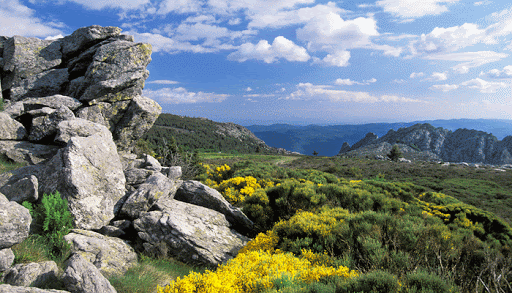 parc régional du haut languedoc