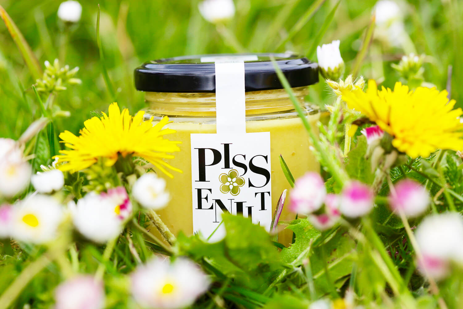 Miel de Pissenlit