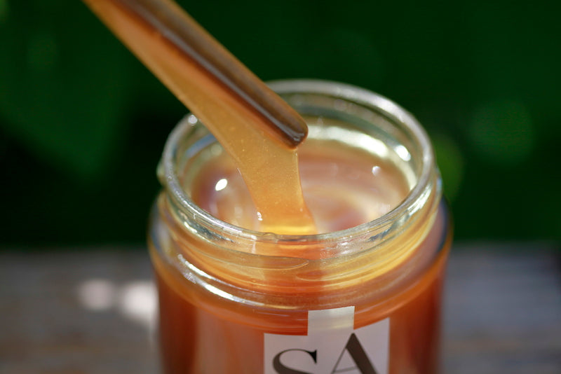 pot de miel de sapin ouvert avec texture