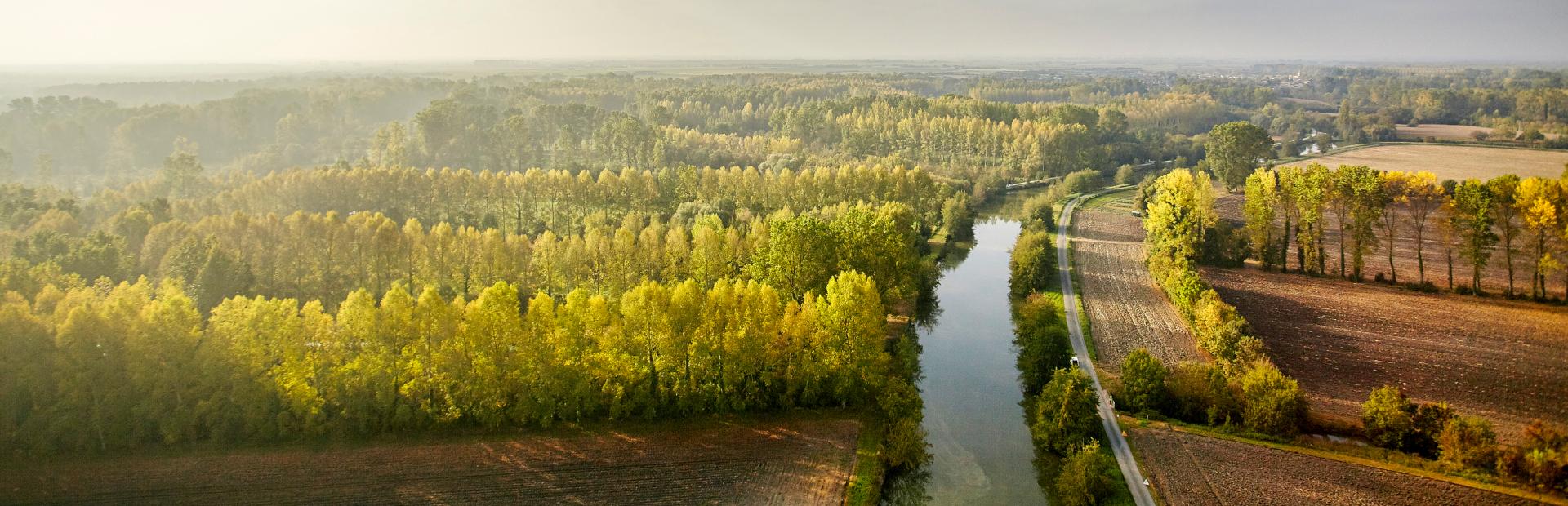 nature campagne 