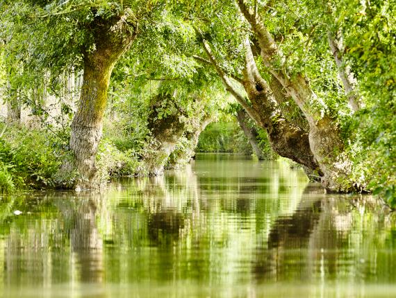 marais poitevin