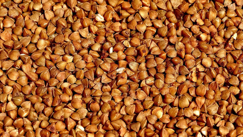graines de sarrasin
