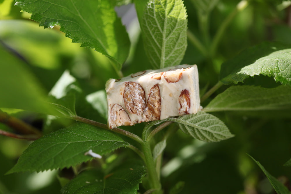nougat au miel de provence