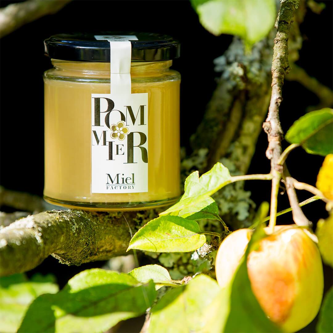 Miel de Pommier, goût de pomme