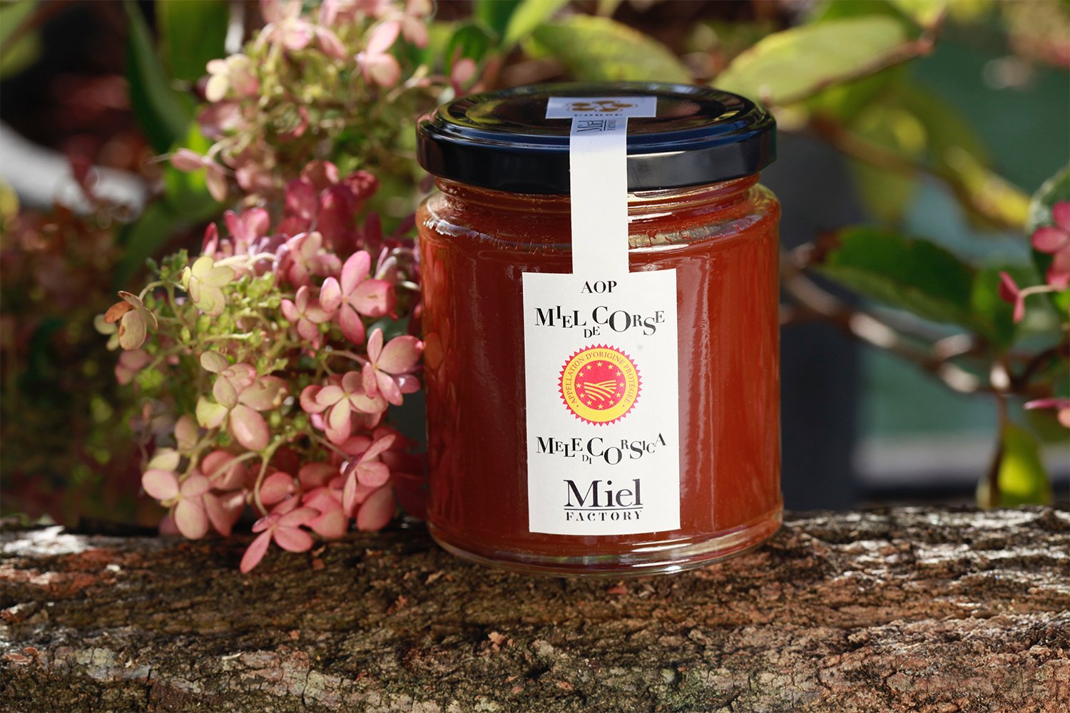 Miel de Bruyère Blanche