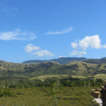 Nature Madagascar