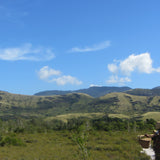 Nature Madagascar