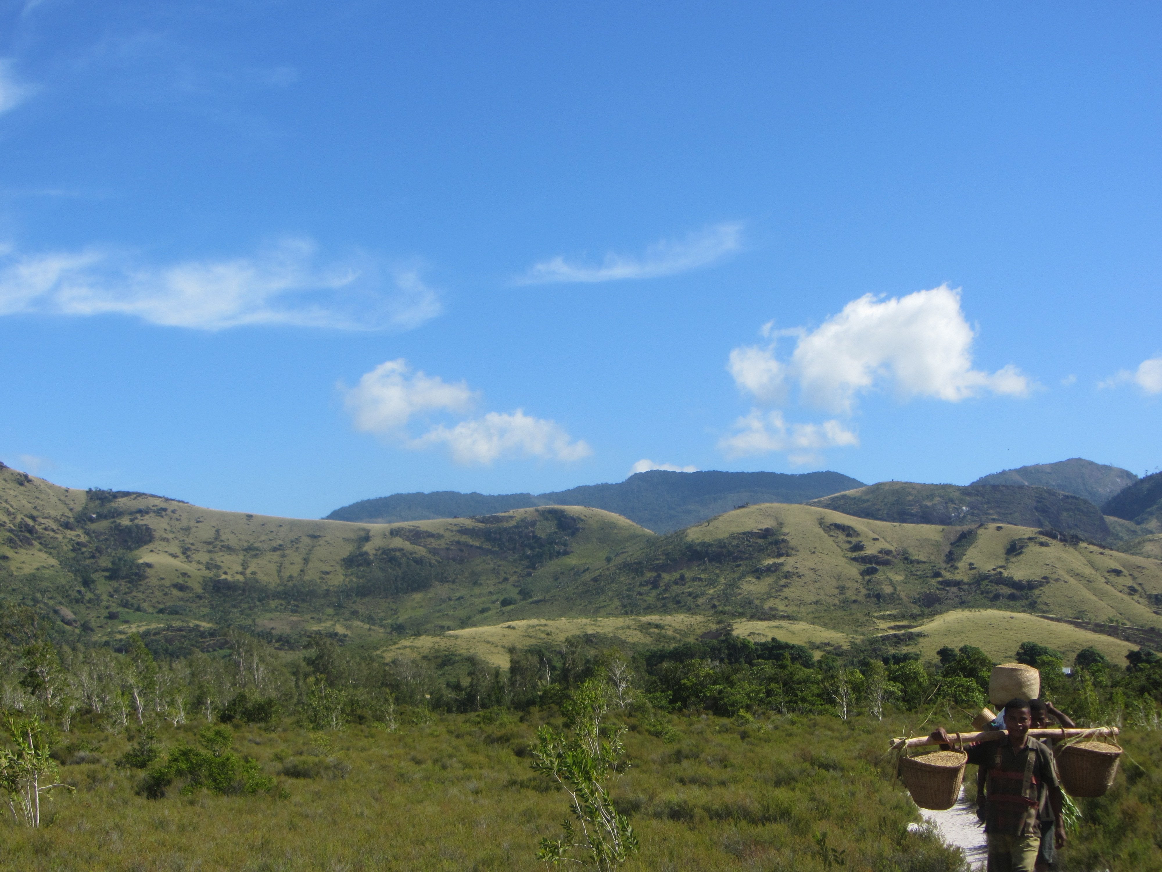 Nature Madagascar