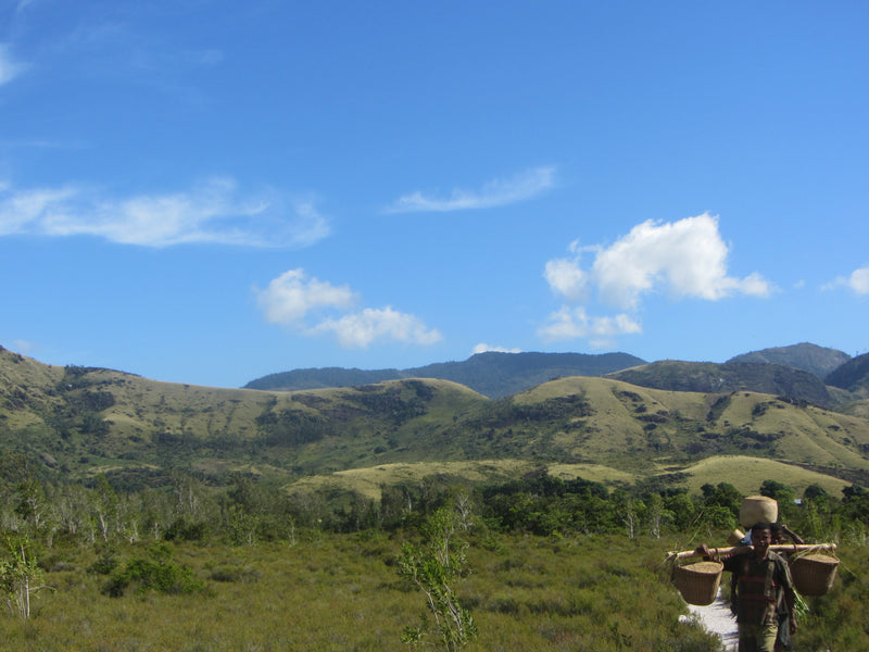 Nature Madagascar