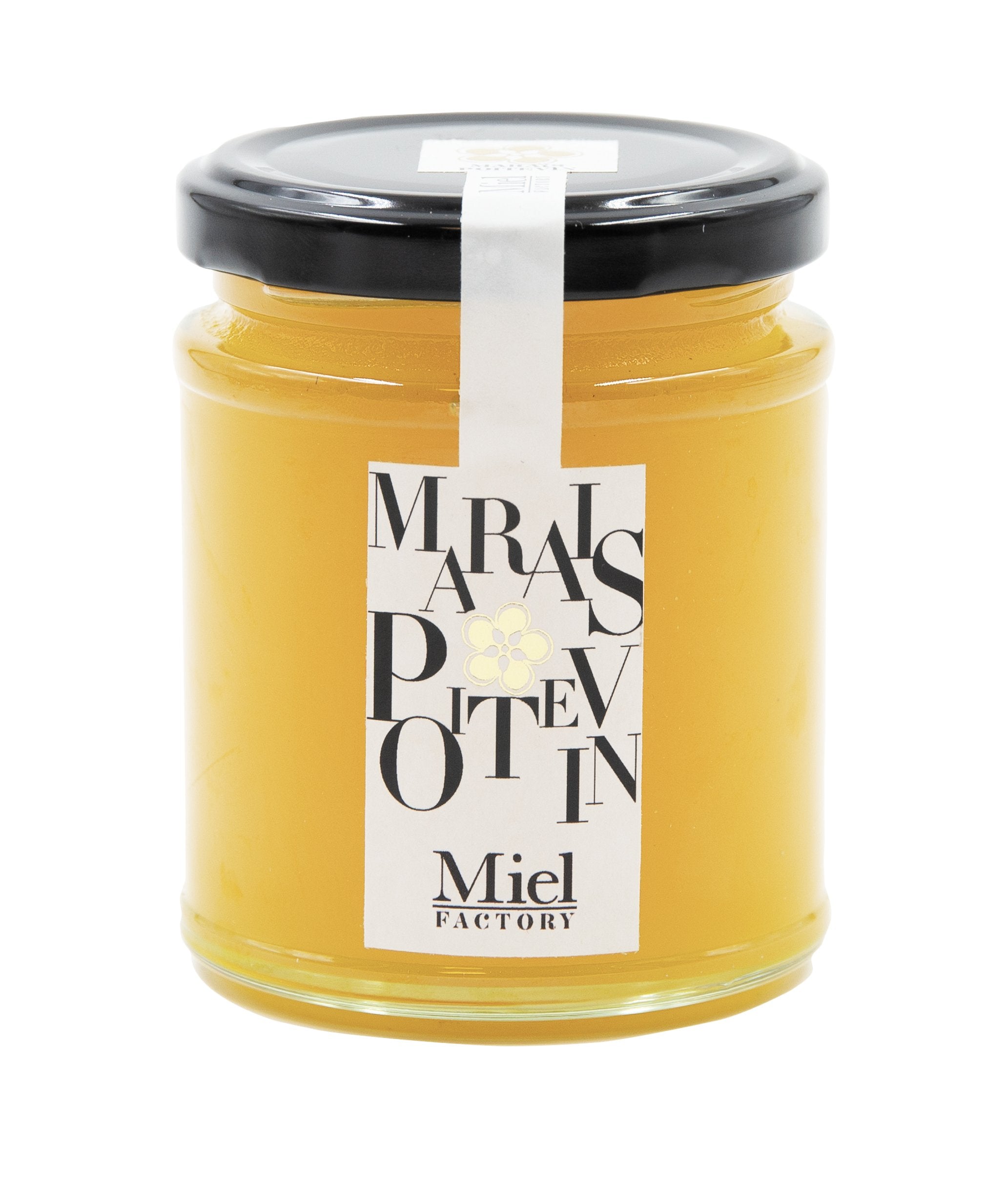 Image de diapositive