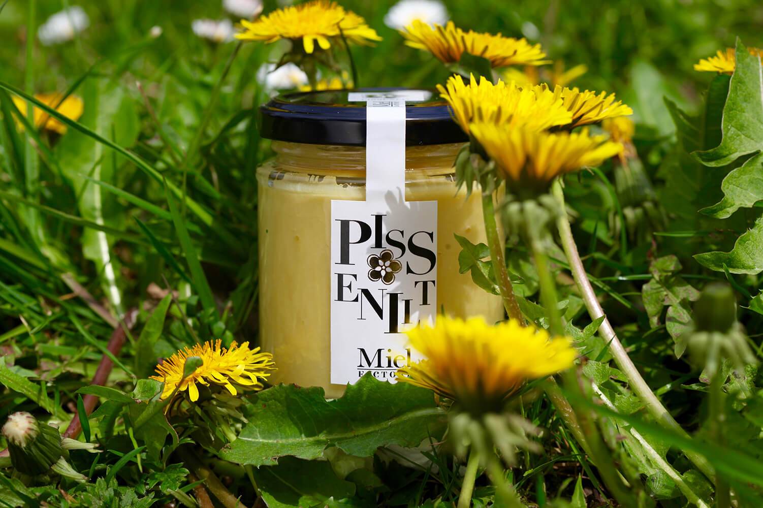 Miel de Pissenlit