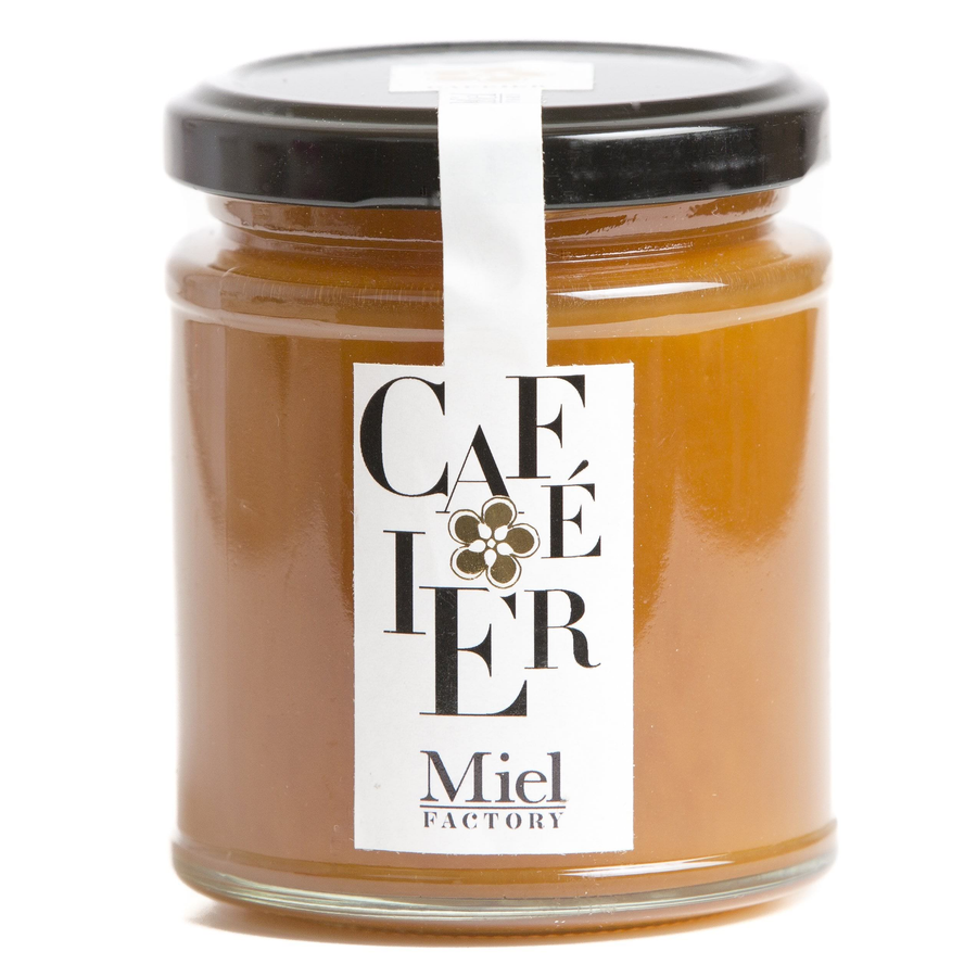 Coffee Tree Honey