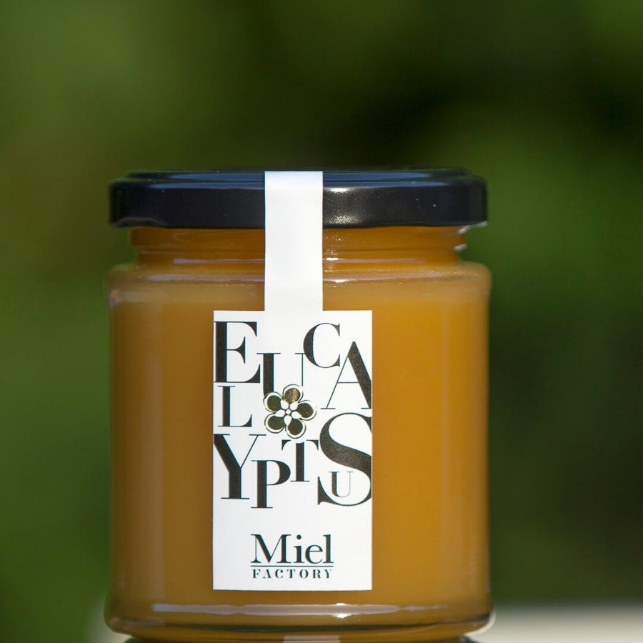 Miel d'Eucalyptus récolté artisanalement