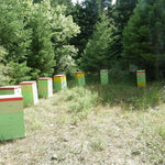 ruches 